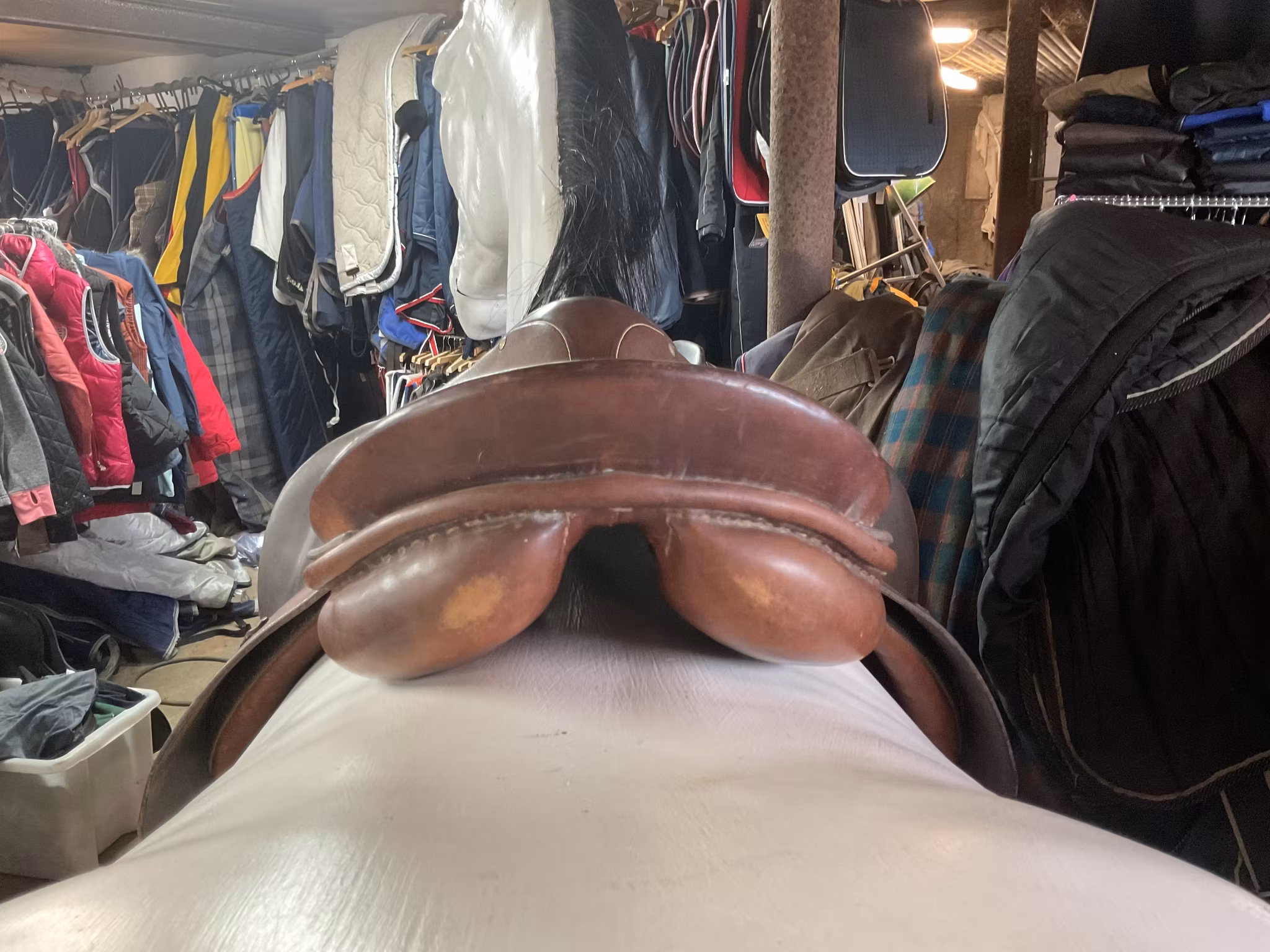 Stubben sadel,17”, 30” i bom,släppt i ena sömmen på ena kåpan