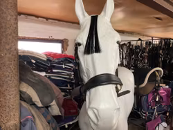 JH lödergrimma,svart,f