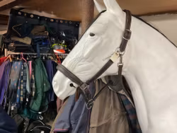 Lädergeimma,brun,lagad,f