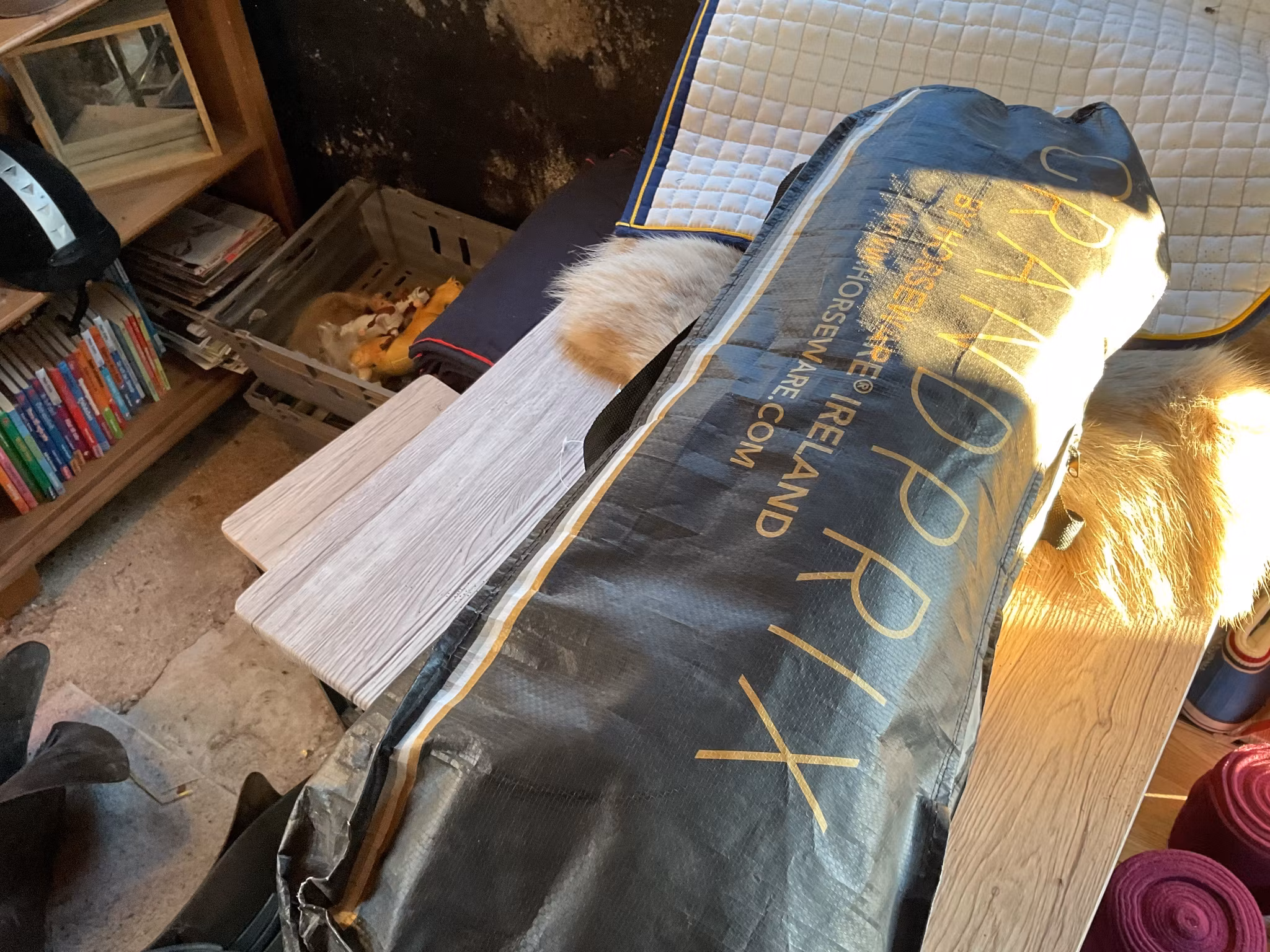 Rambo transportskydd,4-pack,blåa,f