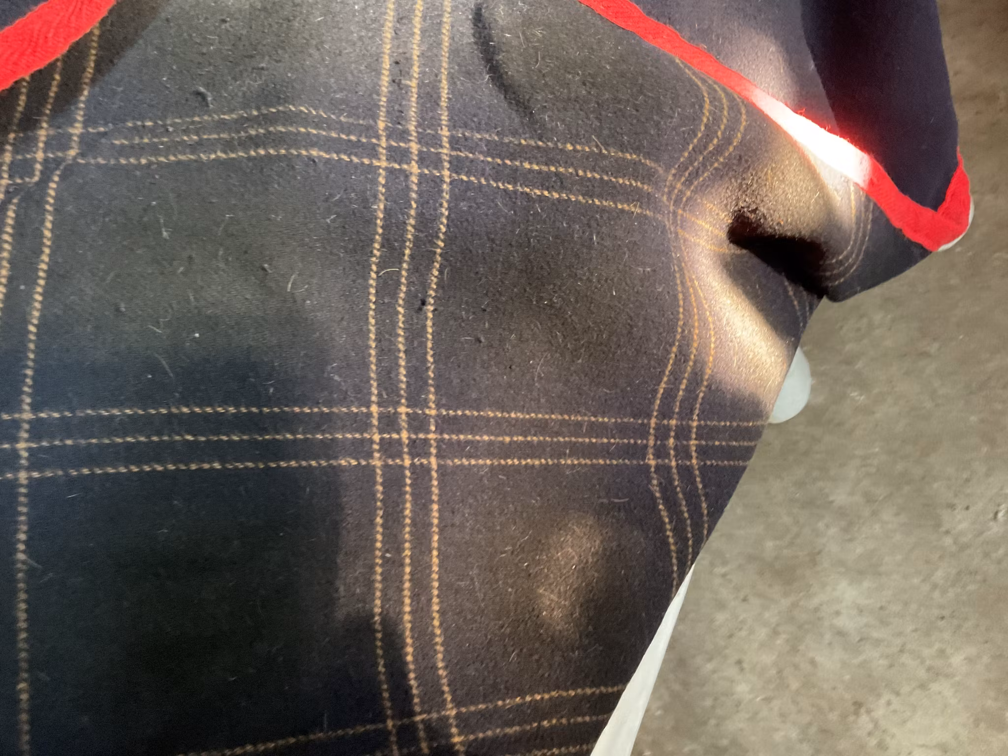 Skrittäcke,fleece,f