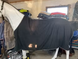 Horseware fleecetäcke,svart,145 cm