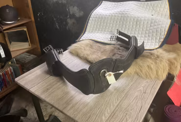 JH sadelgjord,svart,går att ändra storlek 115-145 cm