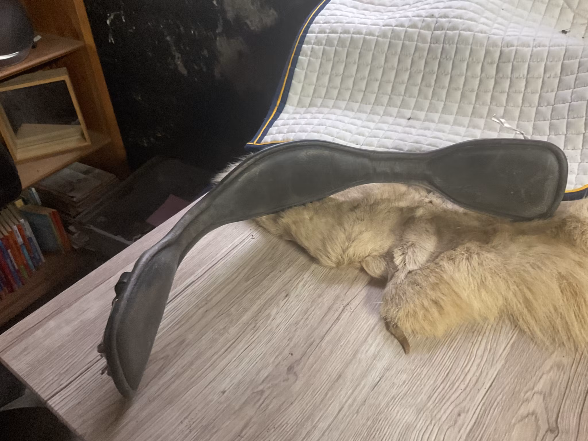 Amerigo sadelgjord,svart, 70 cm