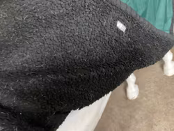 Ländtäcke,grönt,fodrat,f