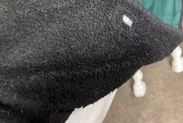 Ländtäcke,grönt,fodrat,f