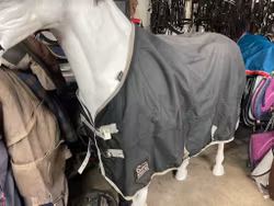 Shires täcke, 145 cm, 100 gr