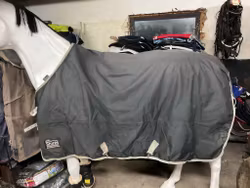 Shires täcke, 145 cm, 100 gr