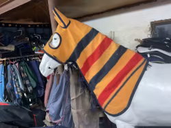 Halstäcke med huva, galopp, ull