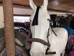 Claridge house grimma,f,brun