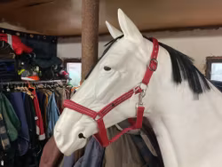 Fairfield grimma,röd,f