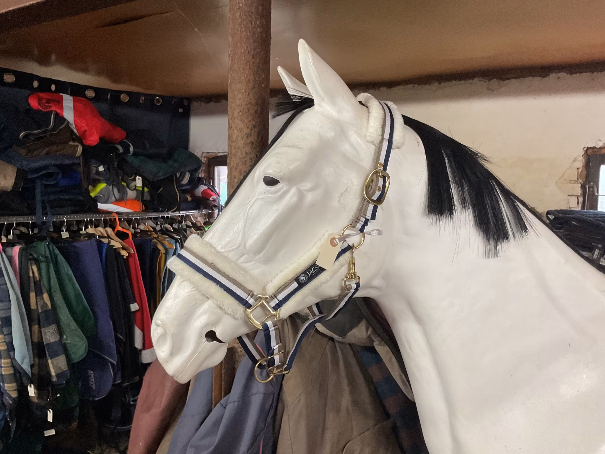 Jacson grimma med ludd,f