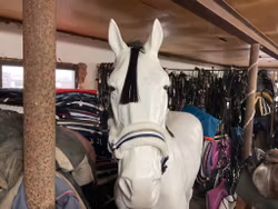 Jacson grimma med ludd,f