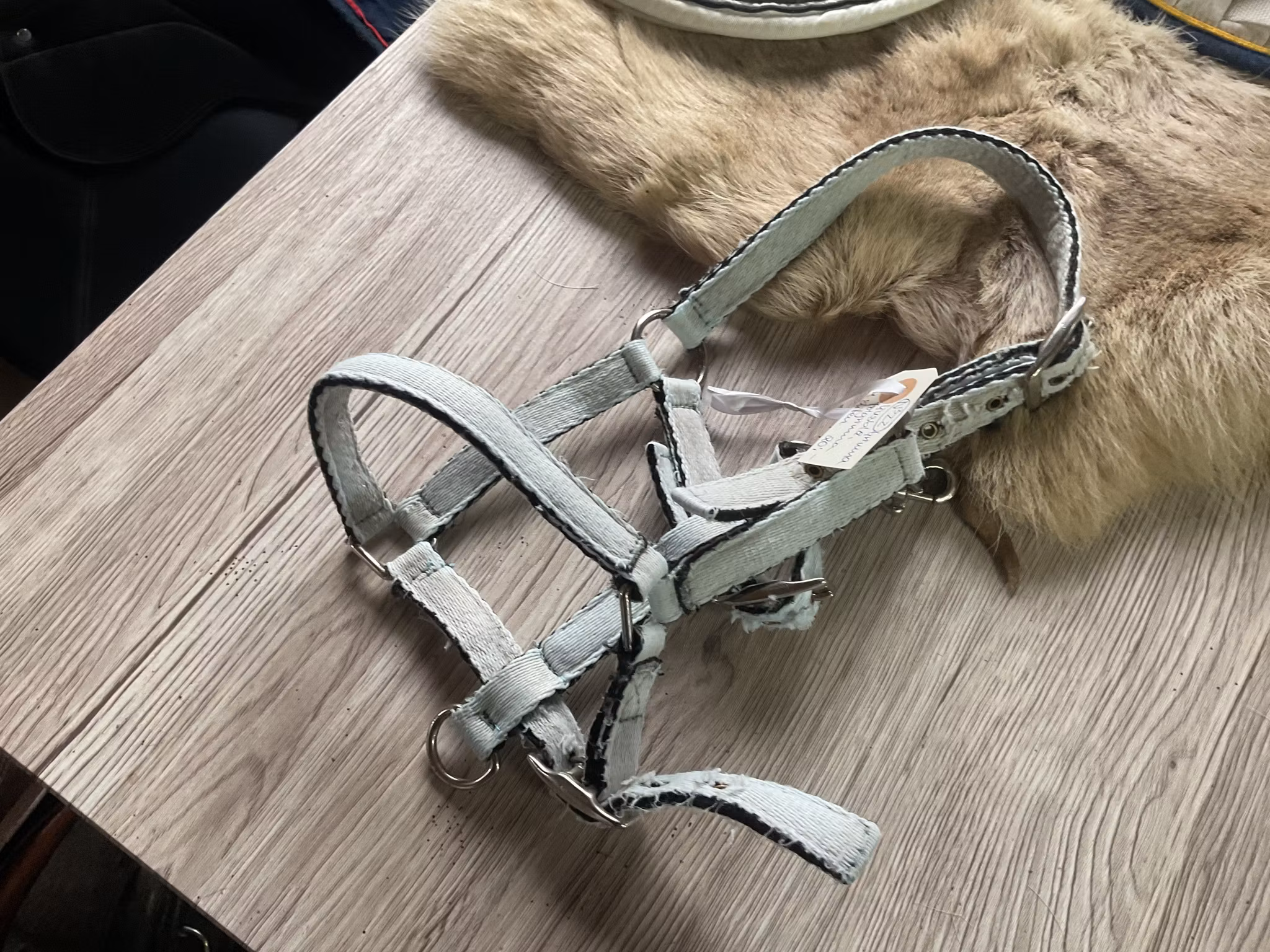 Grimma ljusblå fölgrimma,sliten