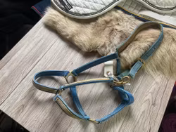 Finn tack grimma,cob