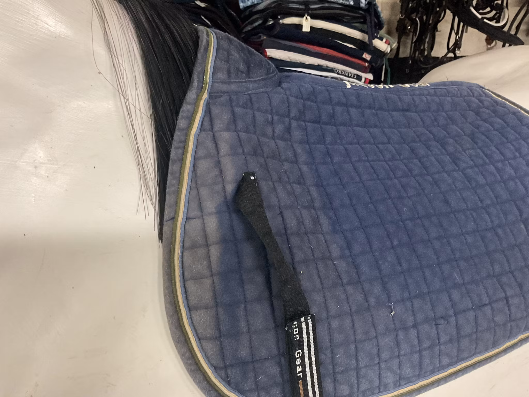 Jacson schabrak,blå,shetland,lite slitet