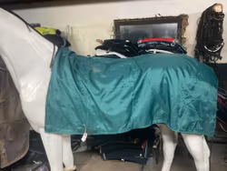 Galopp/Körtäcke,m,grönt,ca 150 gr