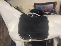 Showmaster schabrak, svart,f