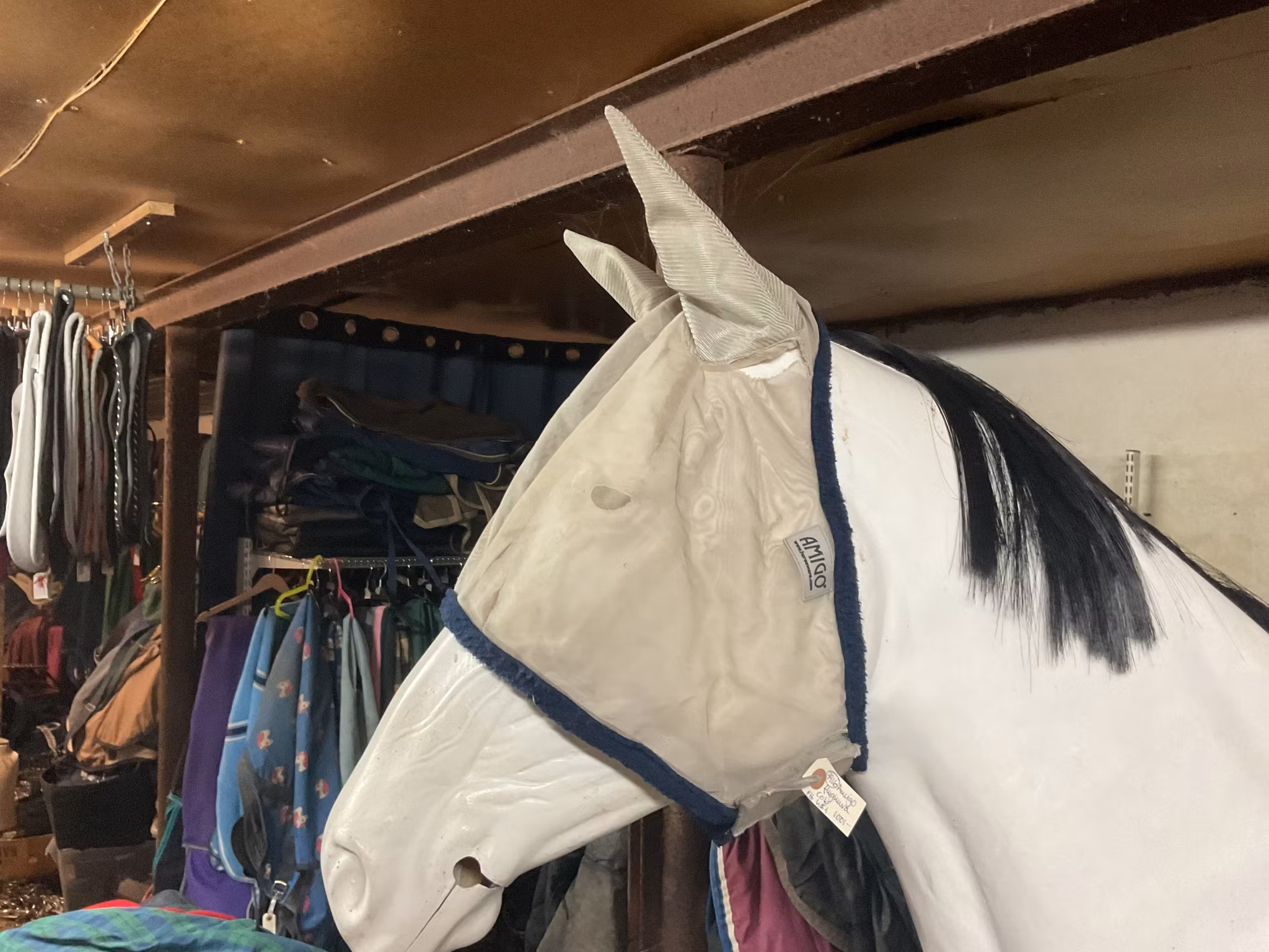 Amigo flughuva cob,ett hål