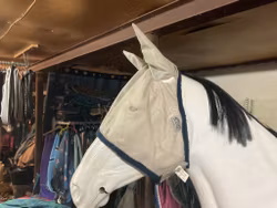 Amigo flughuva cob,ett hål