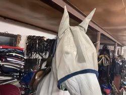 Amigo flughuva cob,ett hål