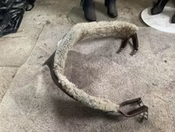 Sadelgjord med magplatta,avtagbart fluff,140 cm,brun