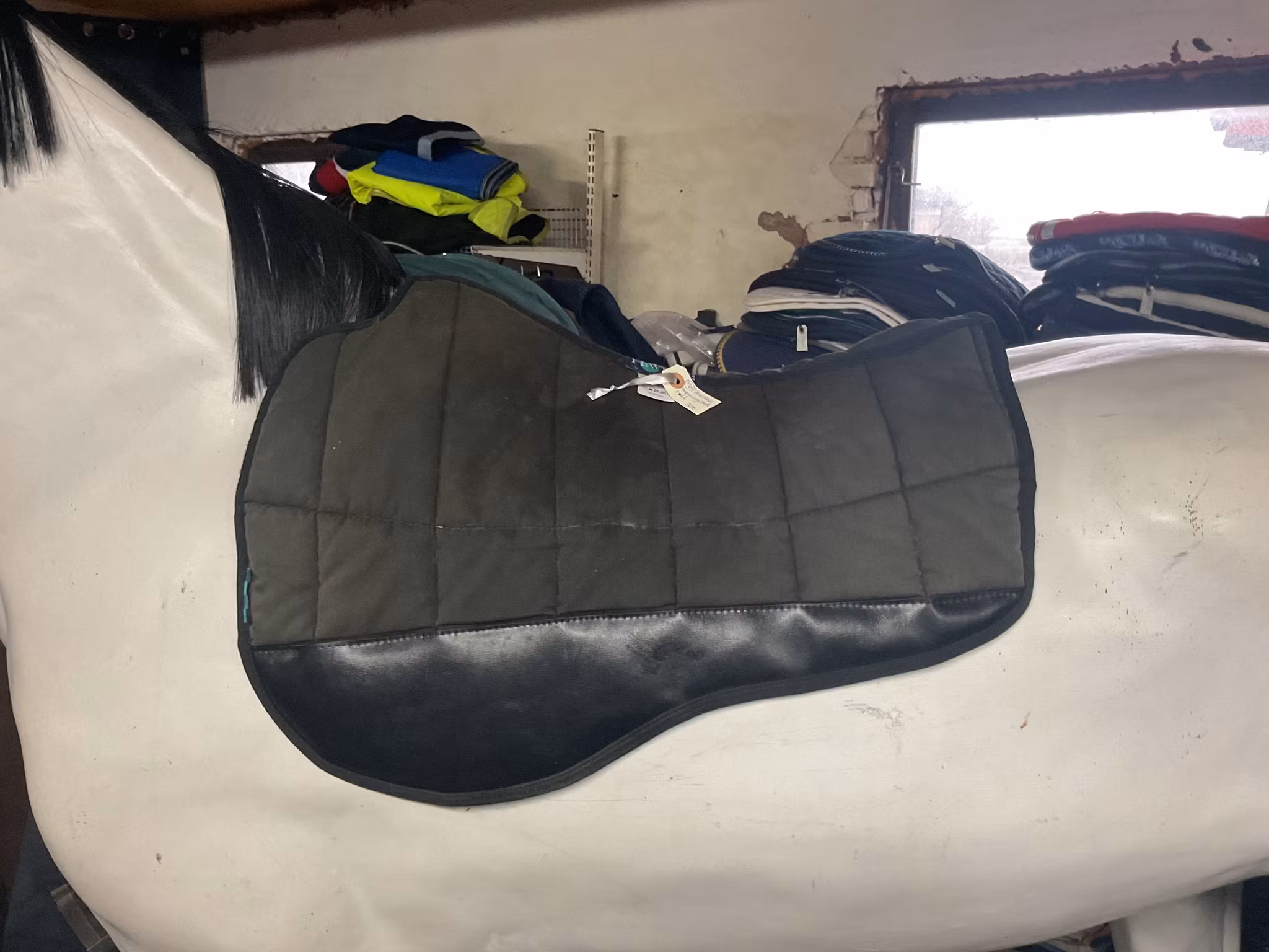 Hiwither träningspadd i ull