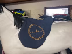 Sadelskydd,blå,lite dåligt gummiband