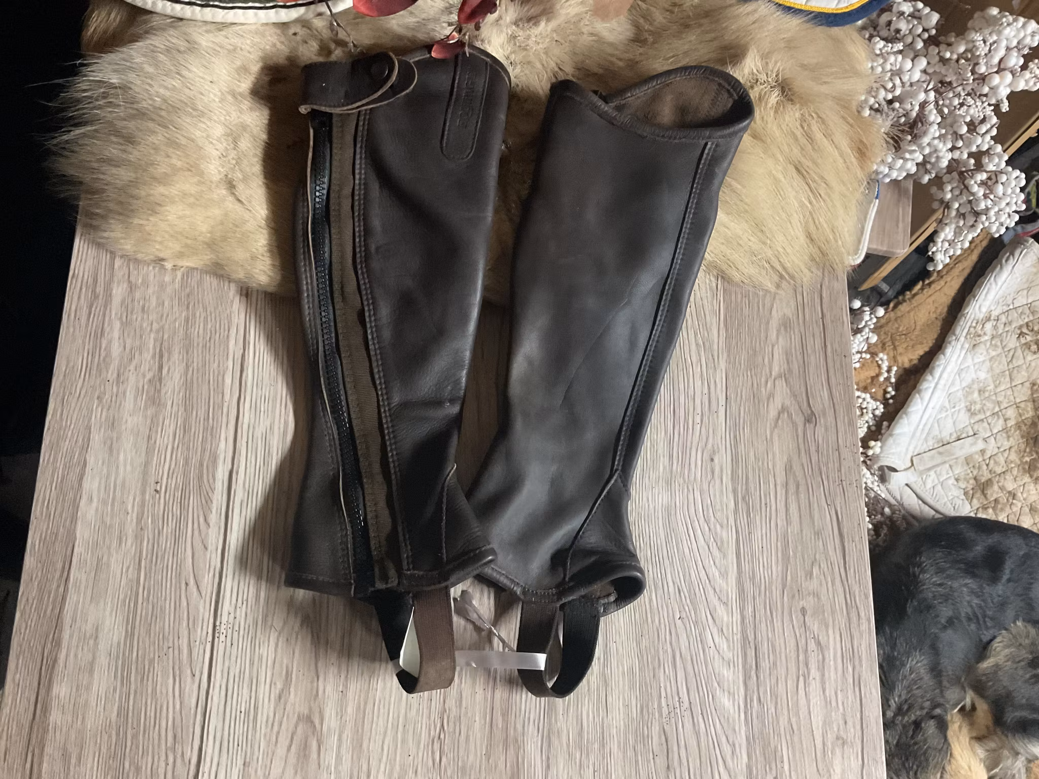 Equipage shortchaps,bruna,läder,3xs