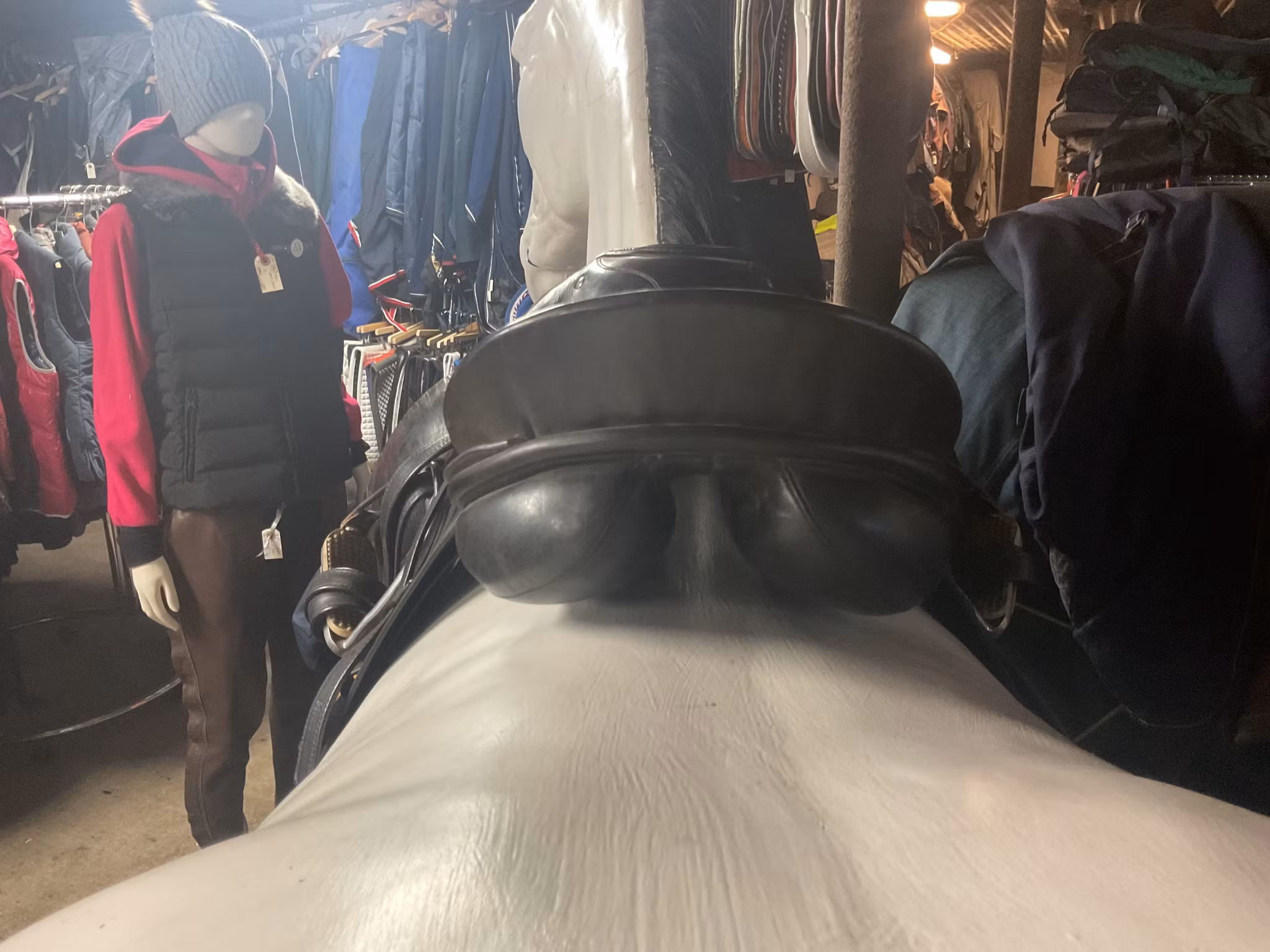 Passier grand gilbert,dressyrsadel,svart, 16,5”,N,inkl stigläder och stigläder