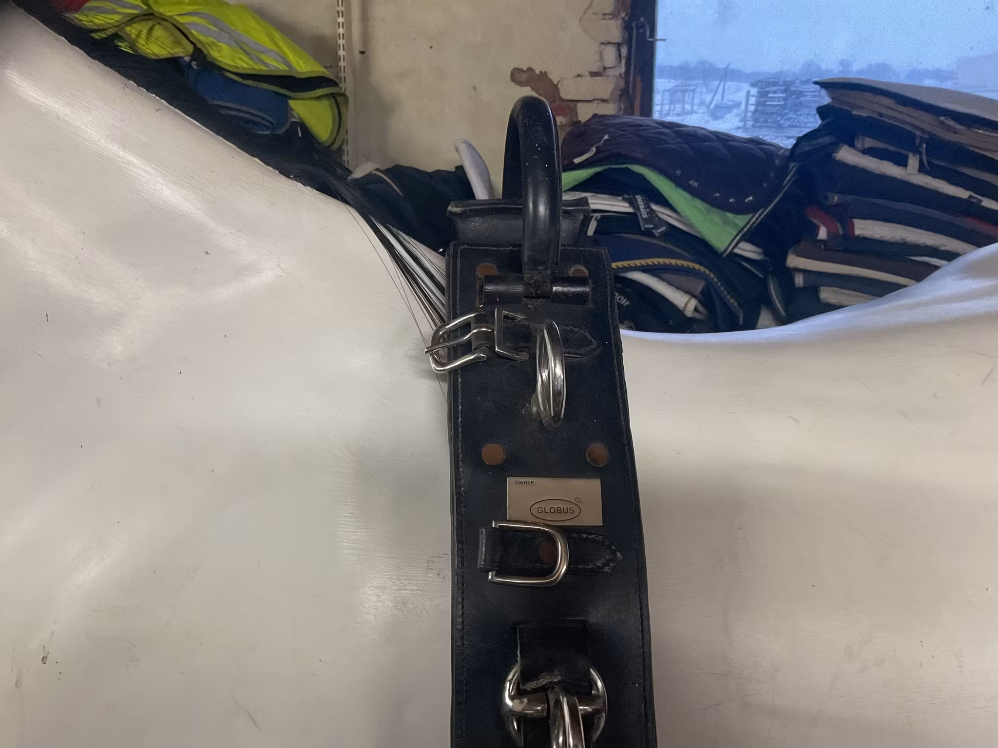 Globus träningsgjord,svart,ca 2 m, ej bukgjord