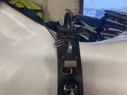 Globus träningsgjord,svart,ca 2 m, ej bukgjord