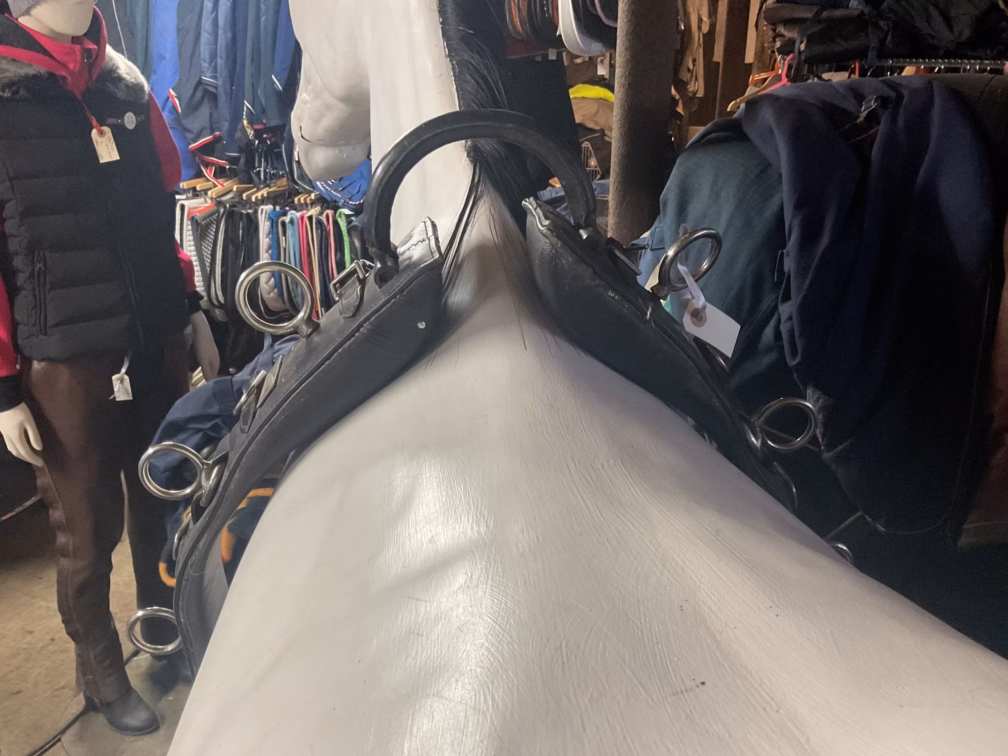 Globus träningsgjord,svart,ca 2 m, ej bukgjord