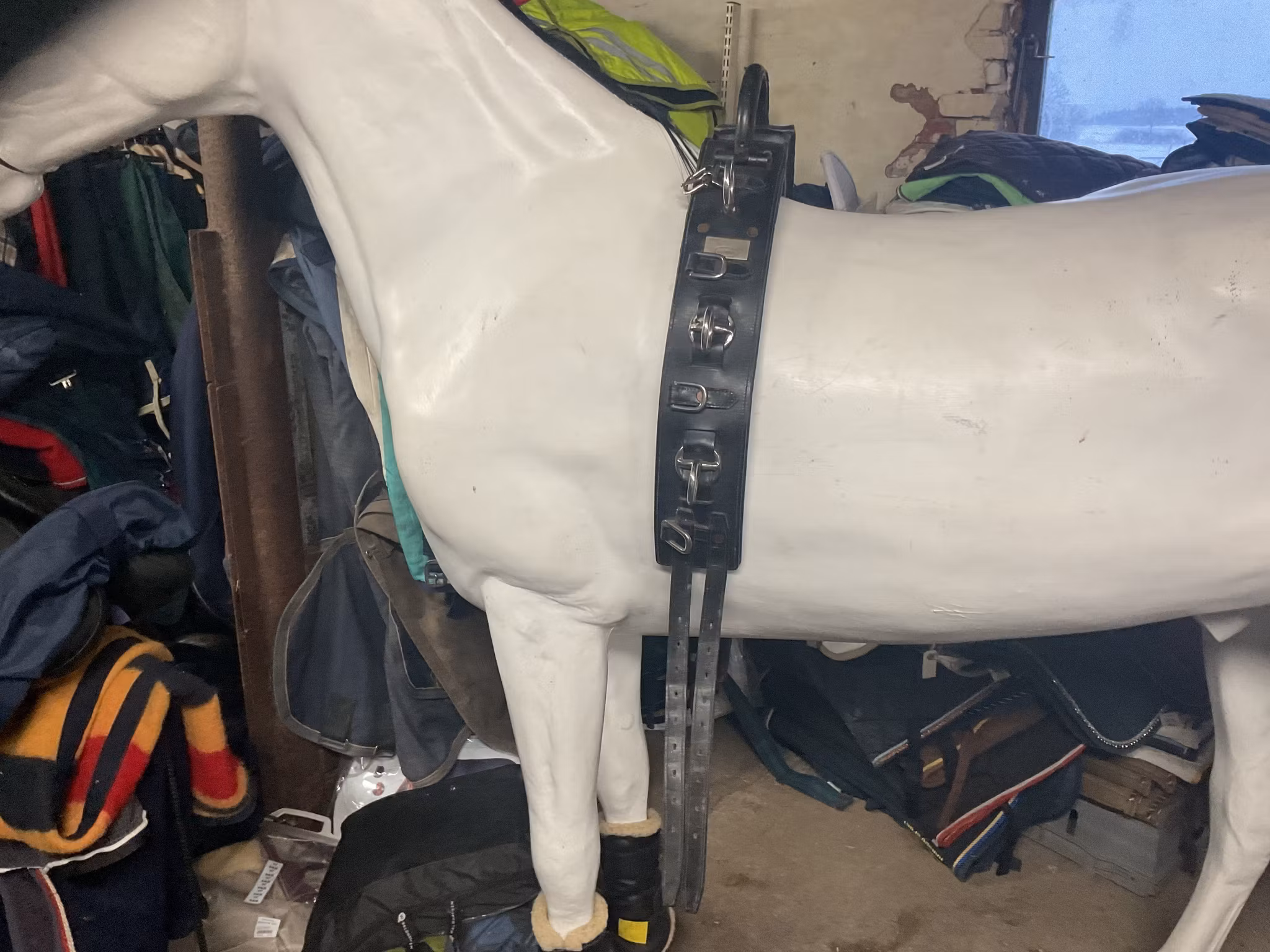 Globus träningsgjord,svart,ca 2 m, ej bukgjord