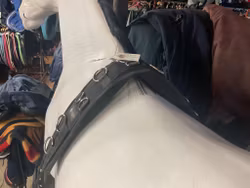 Jacson longeringsgjord,svart,130 cm