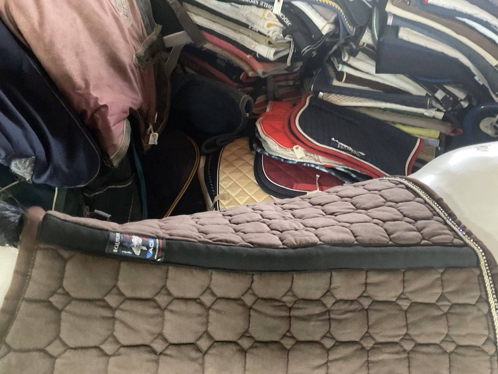 Equiline schabrak,brunt,p