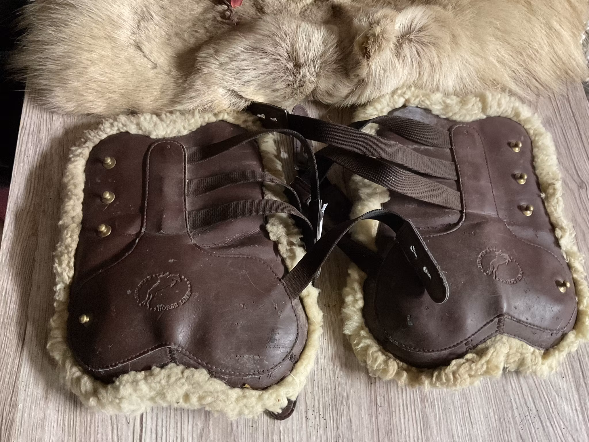 Jumpers horse line,benskydd,bruna med fluff,f