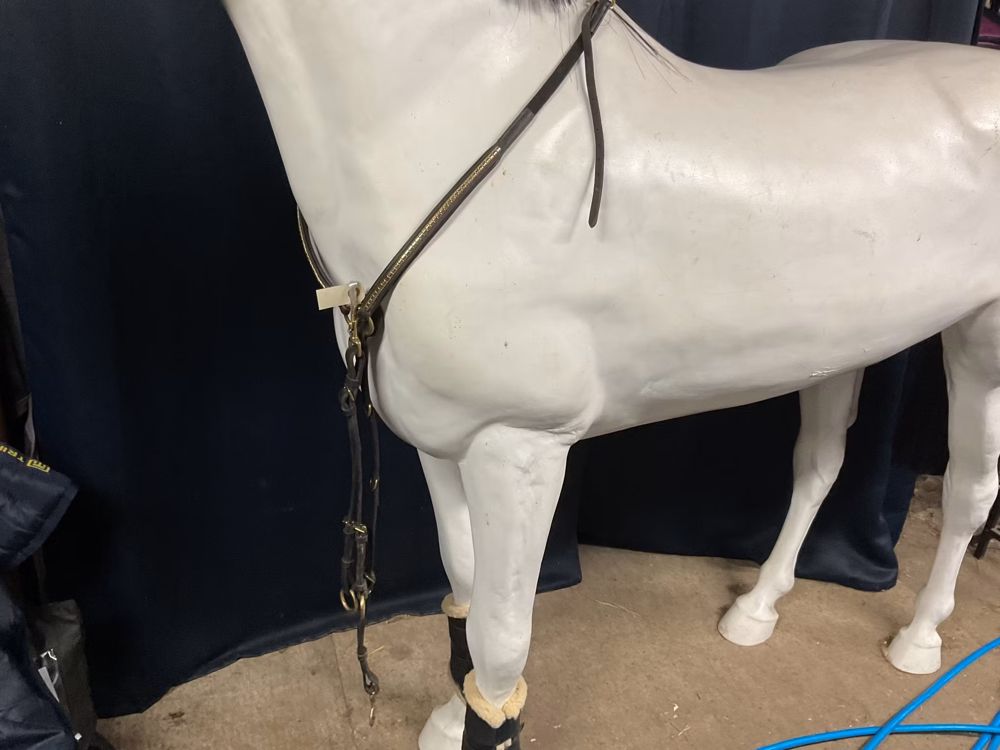 Claridge house,martingal med förbygel,svart,f