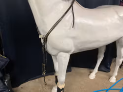 Claridge house,martingal med förbygel,svart,f