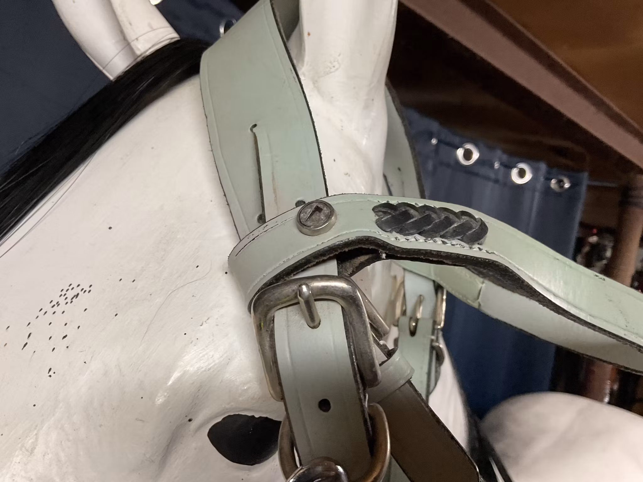 Kombinerat träns och bettlöst,troligen cob