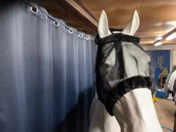 Flughuva,svart,HG,s,ny