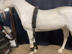 Longeringsgjord,svart,f