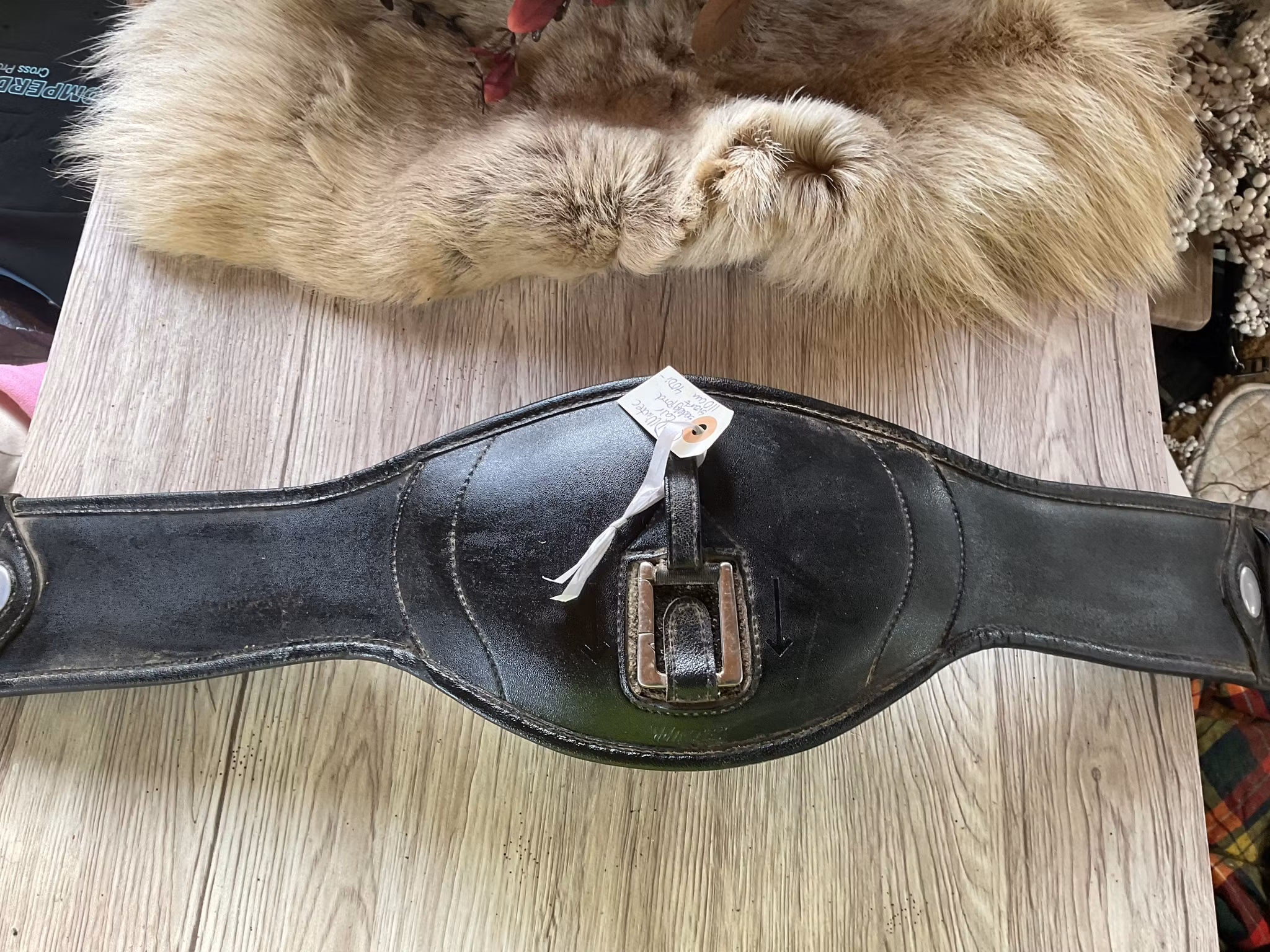 Wintec cair,sadelgjord,svart,110 cm