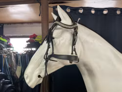 Fairfield träns,svart,p,ej nosrem