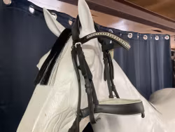 Fairfield träns,svart,p,ej nosrem