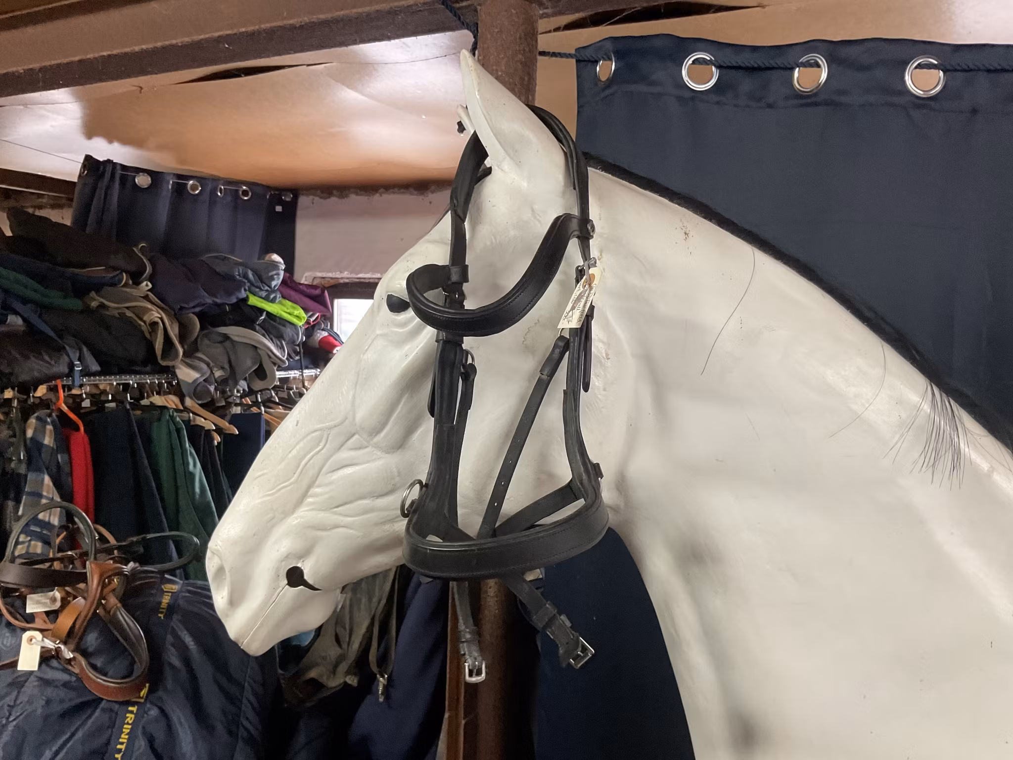 Fairfield sidepull träns,svart,cob