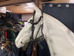 Fairfield sidepull träns,svart,cob