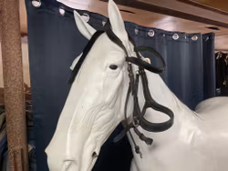 Fairfield sidepull träns,svart,cob