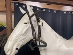 Träns brunt med grönt,cob