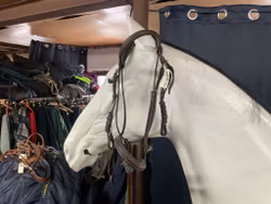 Träns brunt med grönt,cob